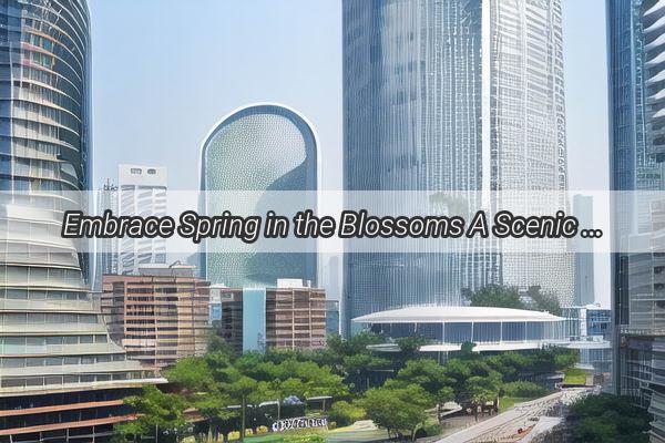 Embrace Spring in the Blossoms A Scenic Ramble Around Guangzhous XinTang